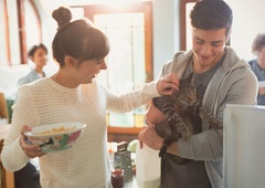 ZATO je posvojitev starejše mačke čudovita odločitev