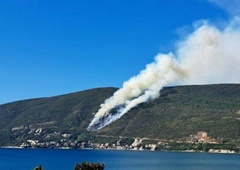 Balkan gori: najstnik naj bi podtaknil 10 požarov