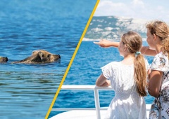 VIDEO: Iz čolna v bližini Zadra v morju zagledali TO žival