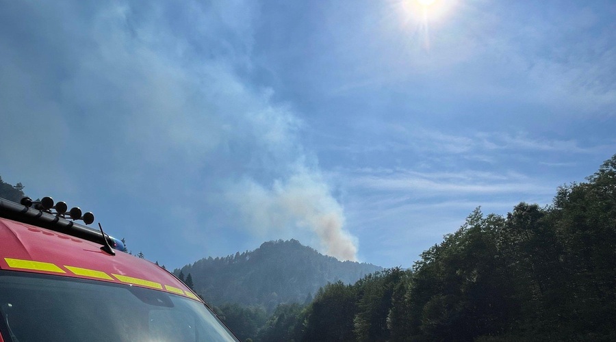 Požarom ni videti konca: zagorelo je v okolici Debnega vrha v Ljubljani (foto: Gasilska brigada Ljubljana)
