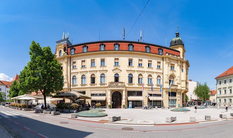 V Mariboru posebno pozornost namenjajo tudi negi mladih dreves, ki jih že ob zasaditvi opremijo z zastirko.