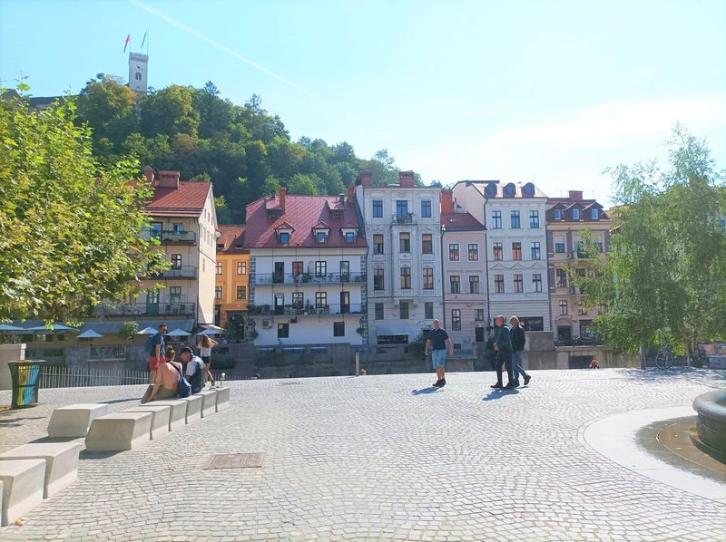 V Ljubljani je listje že sredi avgusta porumenelo in porjavelo.