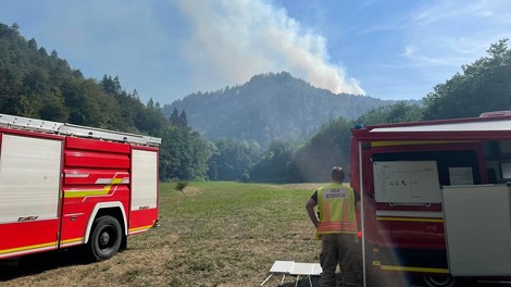 Požar v Ljubljani pod nadzorom: zakaj gasilci še ostajajo na terenu?
