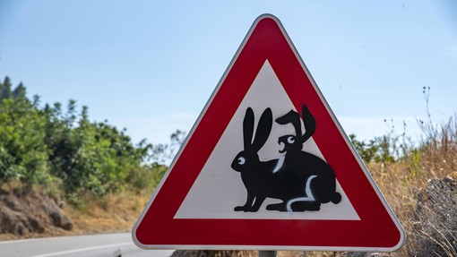 Prometni znak na Hrvaškem privablja poglede: osamljeni zajec ni več tako osamljen