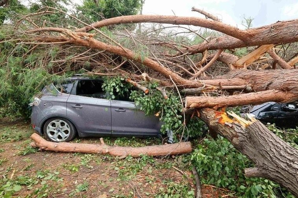 Neurja so zahtevala življenja tudi v Franciji, od koder je fotografija. (foto: Profimedia)