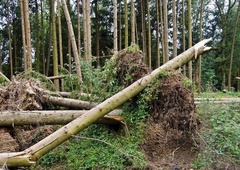 Pri sosedih v neurju umrla dva otroka