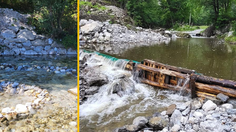 Osvežitev v reki? Ribiška družina OPOZARJA, da s svojimi dejanji ogrožate življenja rib