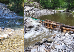 Osvežitev v reki? Ribiška družina OPOZARJA, da s svojimi dejanji ogrožate življenja rib