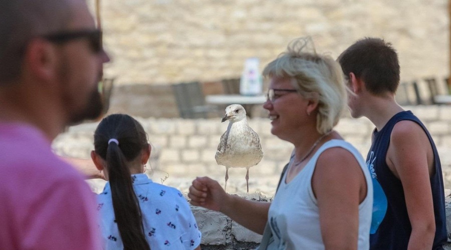 Je na Hrvaško od začetka vojne prispelo več Rusov ali Ukrajincev? (foto: Profomedia)