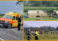 Glavni preiskovalec 10 let po tragični balonarski nesreči: "V letalstvu so pravila napisana s krvjo."