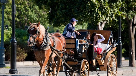 Se po nedavnem incidentu na Majorki konjem, ki vlečejo kočije s turisti obetajo lepši časi?