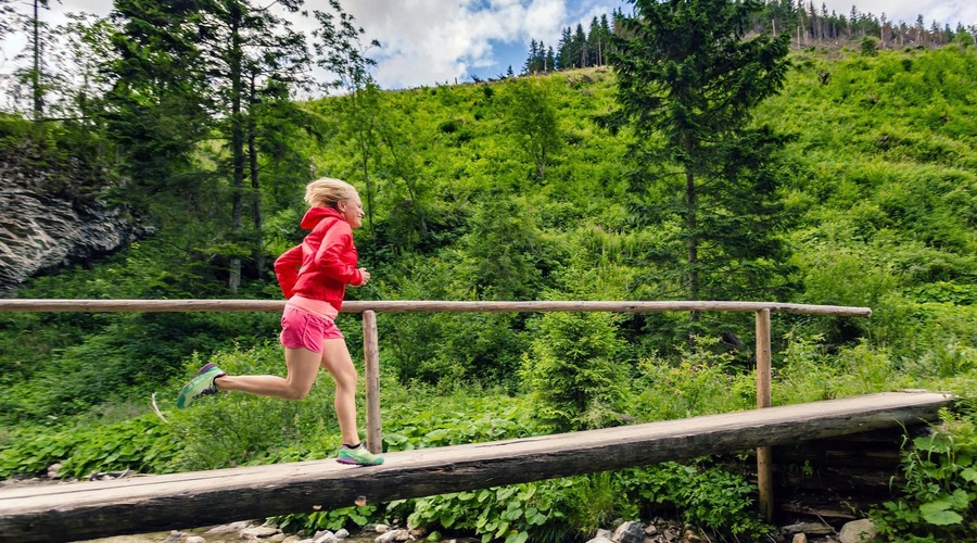 Tekaška prireditev se je za nekatere končala na urgenci, napadla jih je TA žival (foto: Profimedia)