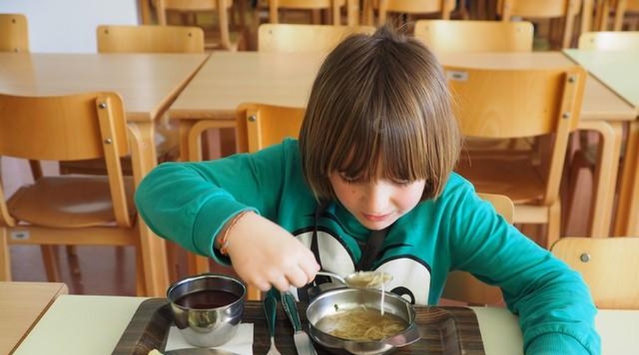 Bodo poslanci držali besedo in omogočili brezplačna kosila za vse osnovnošolce? (foto: OŠ Prestranek)