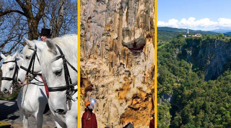 Koliko stane obisk najdražjih slovenskih turističnih znamenitosti? Preverili smo, ali si povprečna družina sploh še lahko privošči izlet (foto: Profimedia/Bobo/fotomontaža)