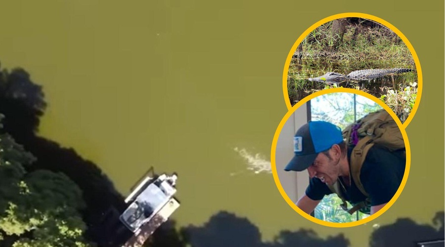 VIDEO: Moški preživel grozljiv napad aligatorja: to morate videti! (foto: Youtube/Facebook/Heart Gallery of Tampa/Profimedia/fotomontaža)
