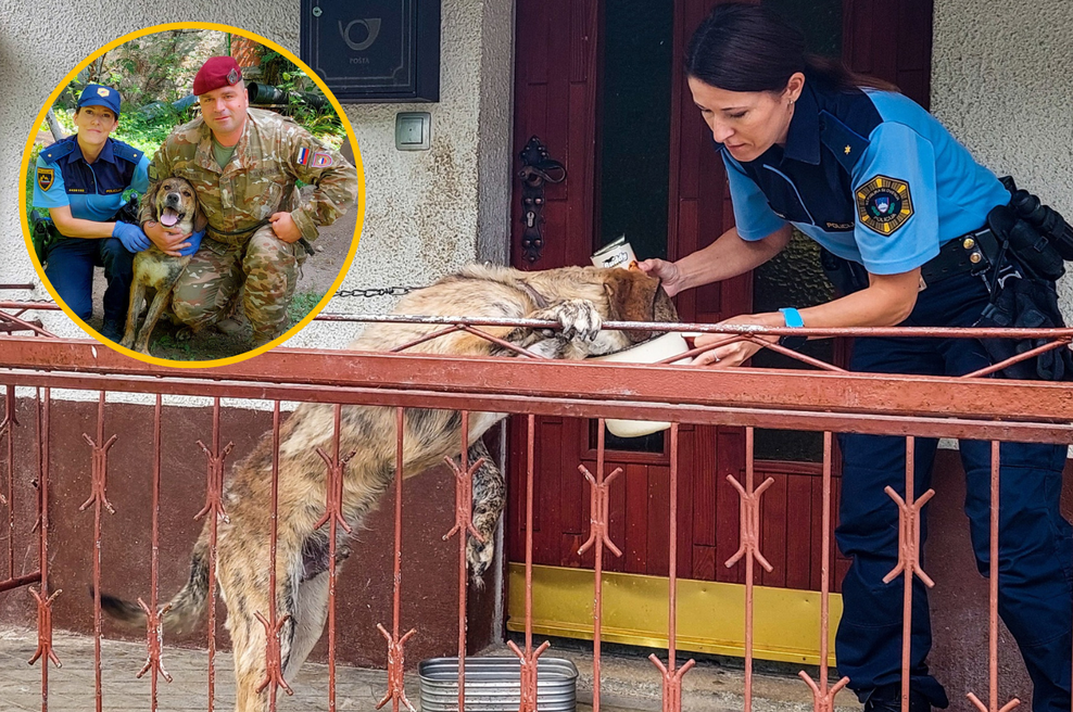 FOTO: Zgodba policistke Tamare, ki je s srčno gesto rešila življenje obnemoglega psa (foto: Facebook/Policijska uprava Ljubljana/footmontaža)