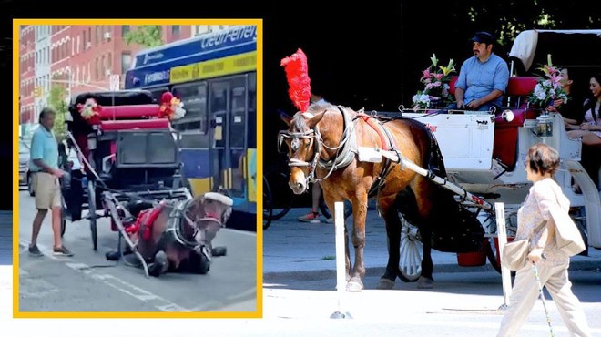 Tudi to je slavni New York: sredi ulice tepel povsem obnemoglega konja, ki je vlekel kočijo (foto: Profimedia in Youtube/fotomontaža/posnetek zaslona)