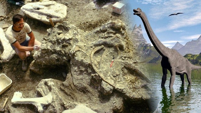VIDEO: Je družinski vrt na Portugalskem skrival največje najdeno okostje dinozavra v Evropi? (foto: Profimedia)