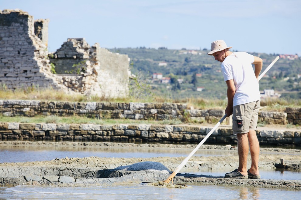 ENA VRSTA SOLI NI BOLJ ZDRAVA OD DRUGE Poznamo več vrst soli. Mešanice se razlikujejo glede na vir in način …