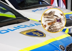 Predrzen rop v centru Ljubljane: sredi belega dne med ogledom iz zlatarne ušel z velikim izplenom