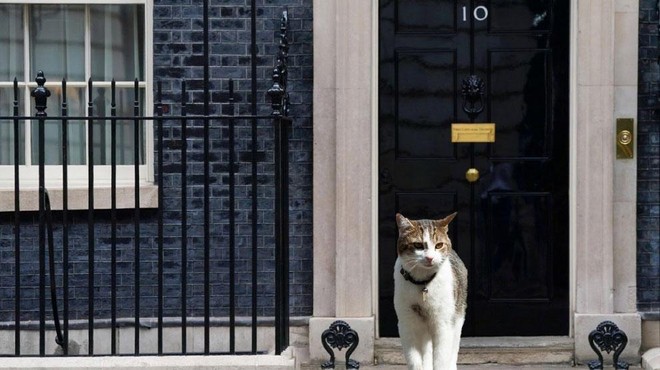 Johnson je odšel, a maček Larry že 11 let ostaja na Downing Street 10. Komu pripada? (foto: Profimedia/fotomontaža)