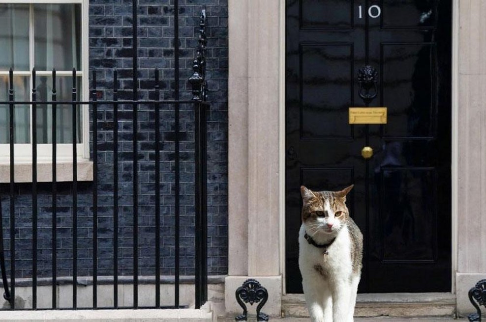 Johnson je odšel, a maček Larry že 11 let ostaja na Downing Street 10. Komu pripada? (foto: Profimedia/fotomontaža)