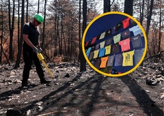 Kako je na pogorišču na Krasu mesec in pol po požaru? Poglejte si to izjemno gesto domačinov!
