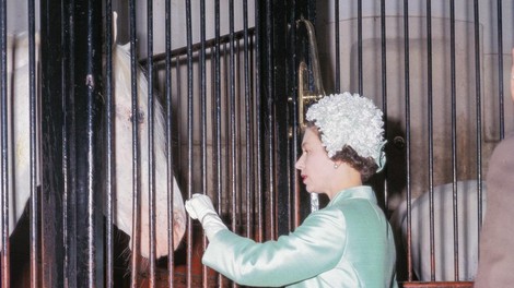 FOTO: Najlepše fotografije kraljice Elizabete II. in njenih ljubljenčkov
