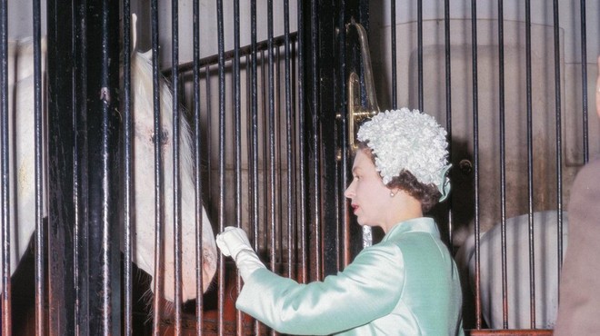 FOTO: Najlepše fotografije kraljice Elizabete II. in njenih ljubljenčkov (foto: Profimedia)