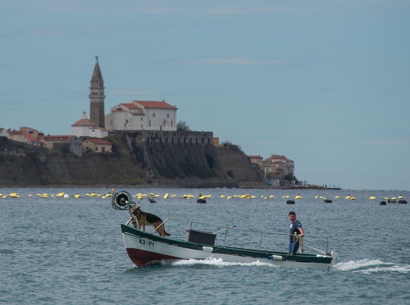 Razviti želijo nove turistične izdelke, ki bi spremenili dojemanje naravne in kulturne dediščine v javnosti.