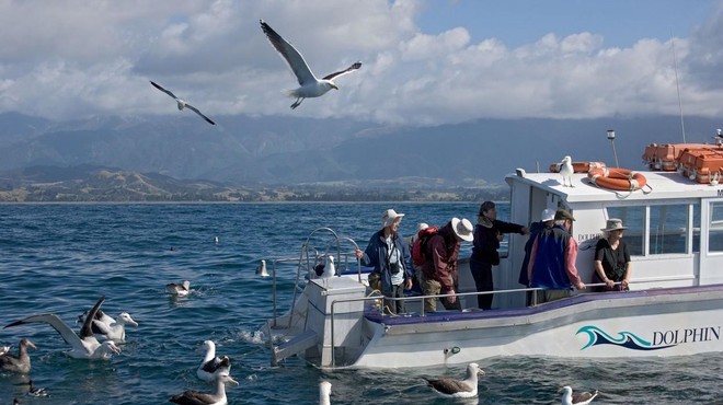 Med opazovanjem ptic umrlo 5 turistov – kdo je prevrnil ladjo? (foto: Profimedia)