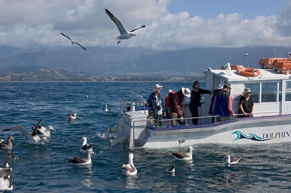Med opazovanjem ptic umrlo 5 turistov – kdo je prevrnil ladjo? (foto: Profimedia)