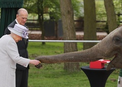 Presenečeni boste, katere živali je še imela kraljica