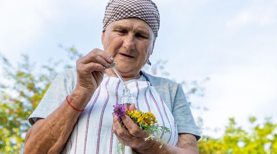 Najmočnejši naravni antibiotik se nahaja v tej rastlini (foto: Profimedia)