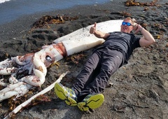 Turiste na plaži presenetil orjaški ligenj
