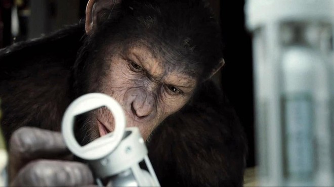 Frank Westerman o iskanju ’prve opice, ki je splezala z drevesa’ v antropološki detektivki Mi, homini (foto: profimedia)