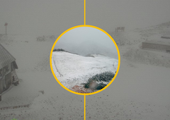 Dele Slovenije ponoči pobelil sneg