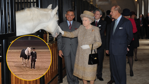 (FOTO) V kobilarni Lipica je imela svojega konja tudi kraljica Elizabeta ll.: tako ganljivo so ji izrekli zadnje slovo