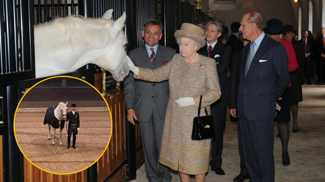 (FOTO) V kobilarni Lipica je imela svojega konja tudi kraljica Elizabeta ll.: tako ganljivo so ji izrekli zadnje slovo (foto: Facebook/Kobilarna Lipica/British Embassy Ljubljana/fotomontaža)