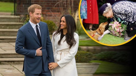 Princ Harry: ʺName so vedno lajali, nanjo nikoliʺ