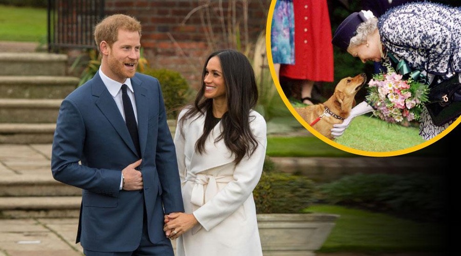 Princ Harry: ʺName so vedno lajali, nanjo nikoliʺ (foto: Profimedia/fotomontaža)