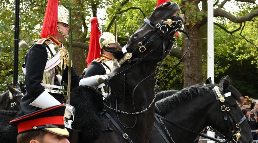 Kraljica je oboževala konje, mi pa poznamo žalosten razlog, zakaj je niso pospremili k večnemu počitku (foto: Profimedia)