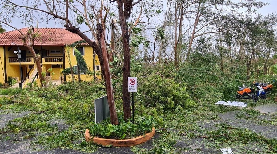 Katastrofa: tekmovalce Exatlona so morali seliti. Kaj se dogaja z njimi? (foto: Planet TV)