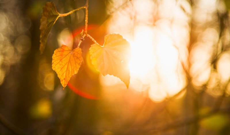 Oktober pripravlja presenečenje: poglejte, kakšne temperature nas čakajo tik pred koncem tedna