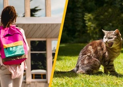 Srednješolka iz Maribora naj bi bila zaradi STEKLINE v smrtni nevarnosti: ugriznila naj bi jo mačka