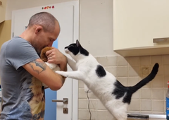 VIDEO: So mačke ljubosumne? Jutka iz Zavetišča Horjul je dokazala, da še kako