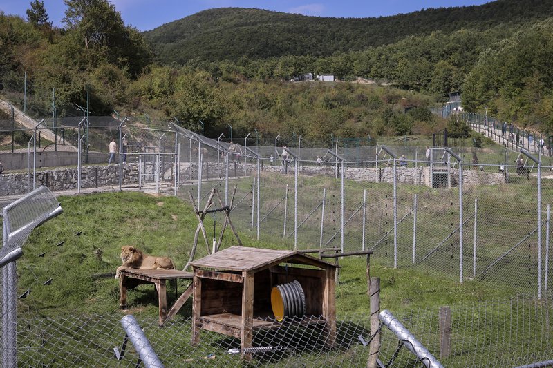 Rešeni medvedi živijo v azilu na površini okoli 16 hektarjev, medvedi pa imajo podobo svojega naravnega okolja, saj azil vključuje drevesa, jagodičje in umetne ribnike.