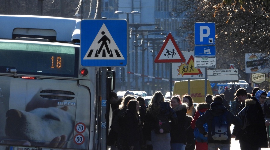 V začetku prihodnjega leta Ljubljančane čaka novost (foto: Bobo)