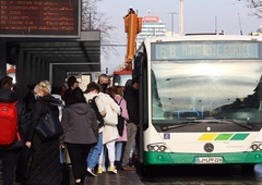 Zaživela nova linija LPP: kam se lahko zapeljete in za koga je brezplačno?