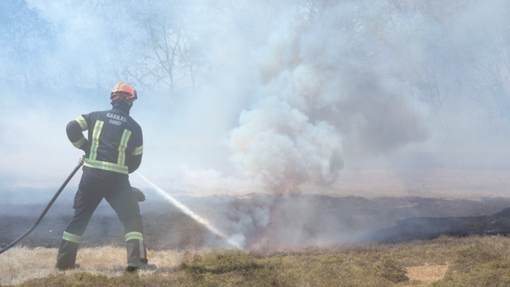 Gasilci v požarih na Krasu z veliko mero požrtvovalnosti: koliko denarja bo za sanacijo namenila država?